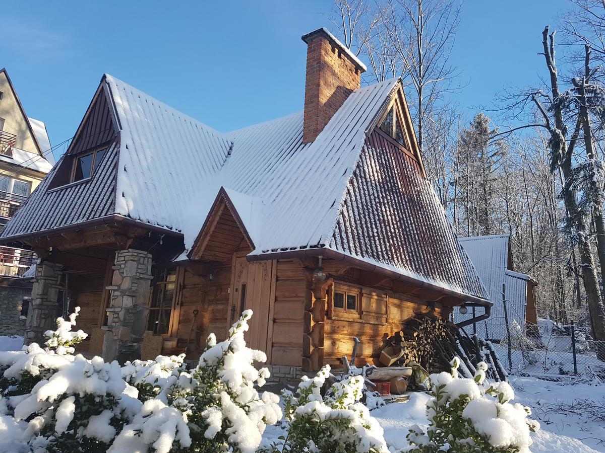 Domek Drewniany Tetmajera Centrum Zakopane Zewnętrze zdjęcie