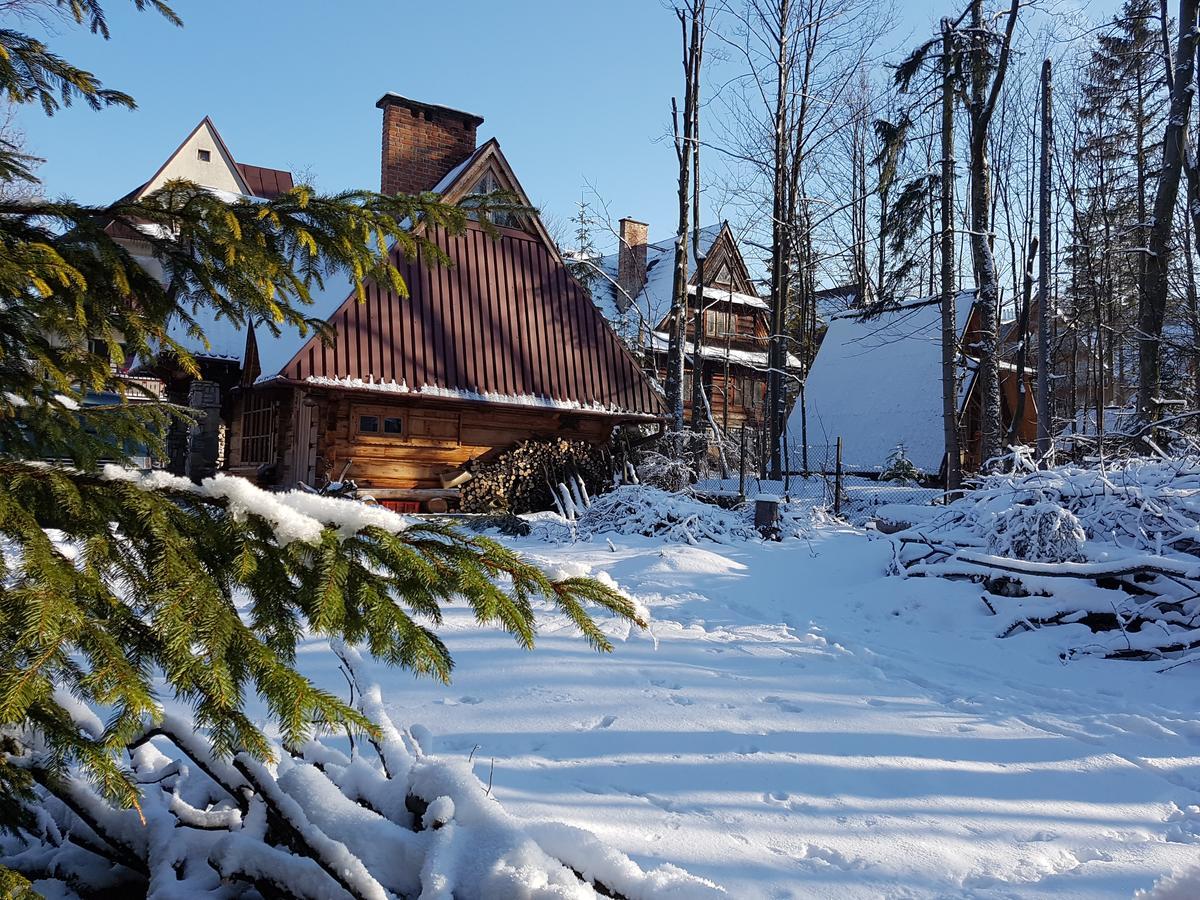 Domek Drewniany Tetmajera Centrum Zakopane Zewnętrze zdjęcie
